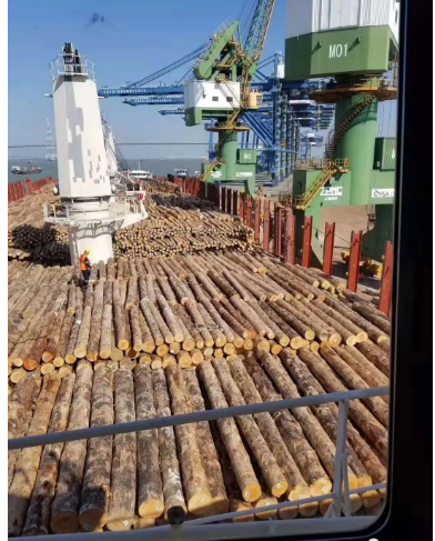 木材板材出口市场中的新兴趋势有哪些 木材板材出口市场中的新兴趋势有哪些