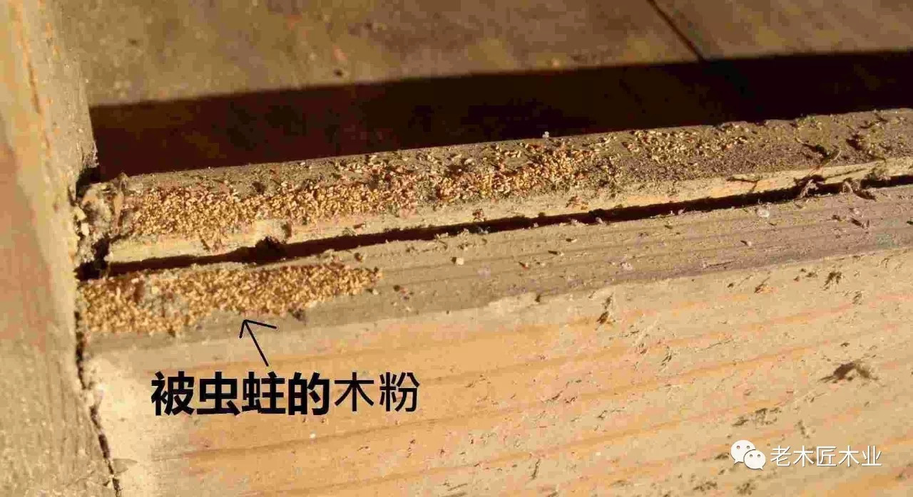 木材板材如何防止虫蛀 木材板材如何防止虫蛀