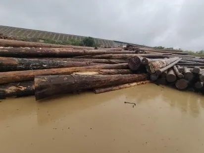 运输过程中如何保护木材板材免受天气影响