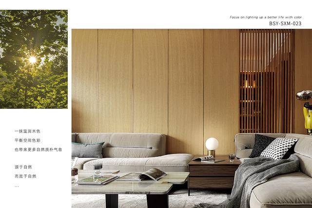 如何挑选适合的木材板材进行墙面装饰