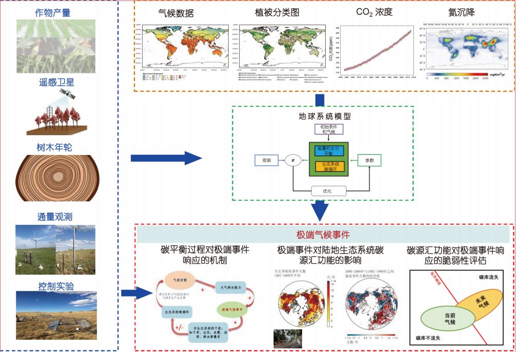 环保木材对生态系统的影响是什么