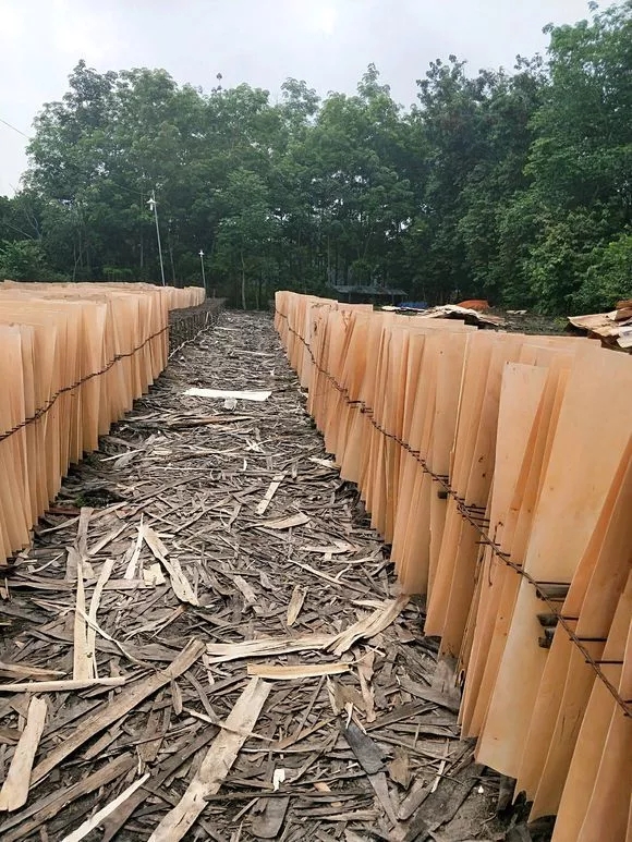 木材板材防止湿度变化影响的技巧是什么 木材板材防止湿度变化影响的技巧是什么