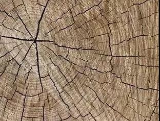 如何减少木材板材在使用过程中的变形