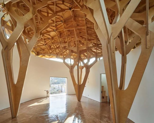 木材板材在现代建筑中的作用是什么