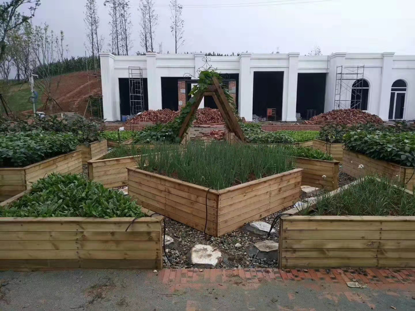 木材板材生产过程中如何保护生态系统