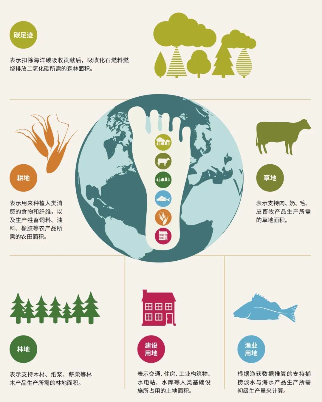 如何在木材板材采购中考虑其生态足迹 如何在木材板材采购中考虑其生态足迹