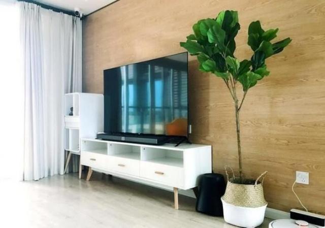 如何选择适合的木材板材进行墙面装修 如何选择适合的木材板材进行墙面装修