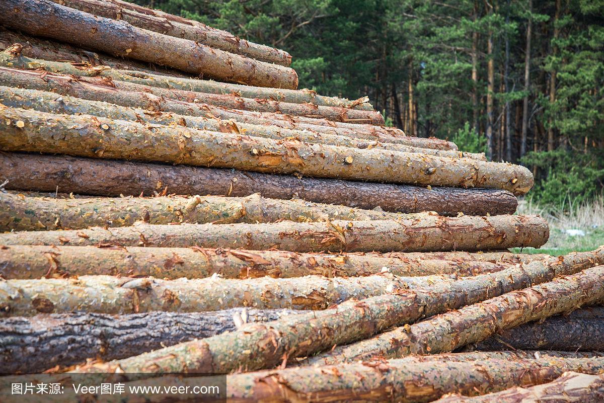 木材板材制造是否会导致森林砍伐