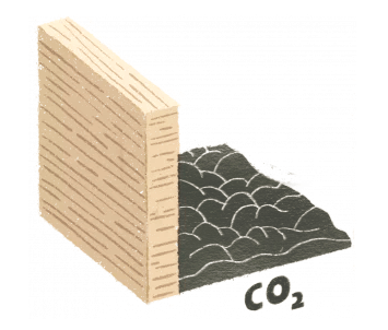 如何理解木材的碳足迹