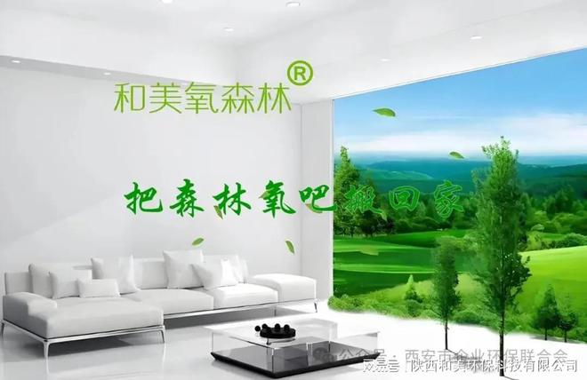 低碳木材如何影响室内空气质量