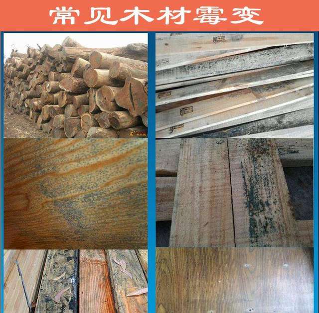 如何避免木材板材发霉