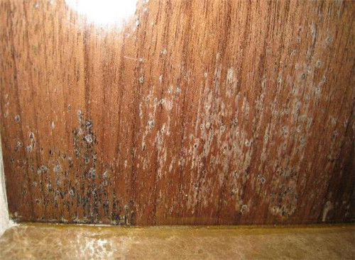 如何避免木材板材发霉